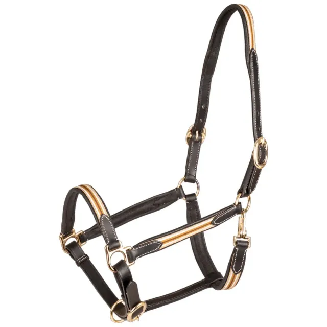 Oxford Capezza cuoio cavallo Full marrone/beige sportiva