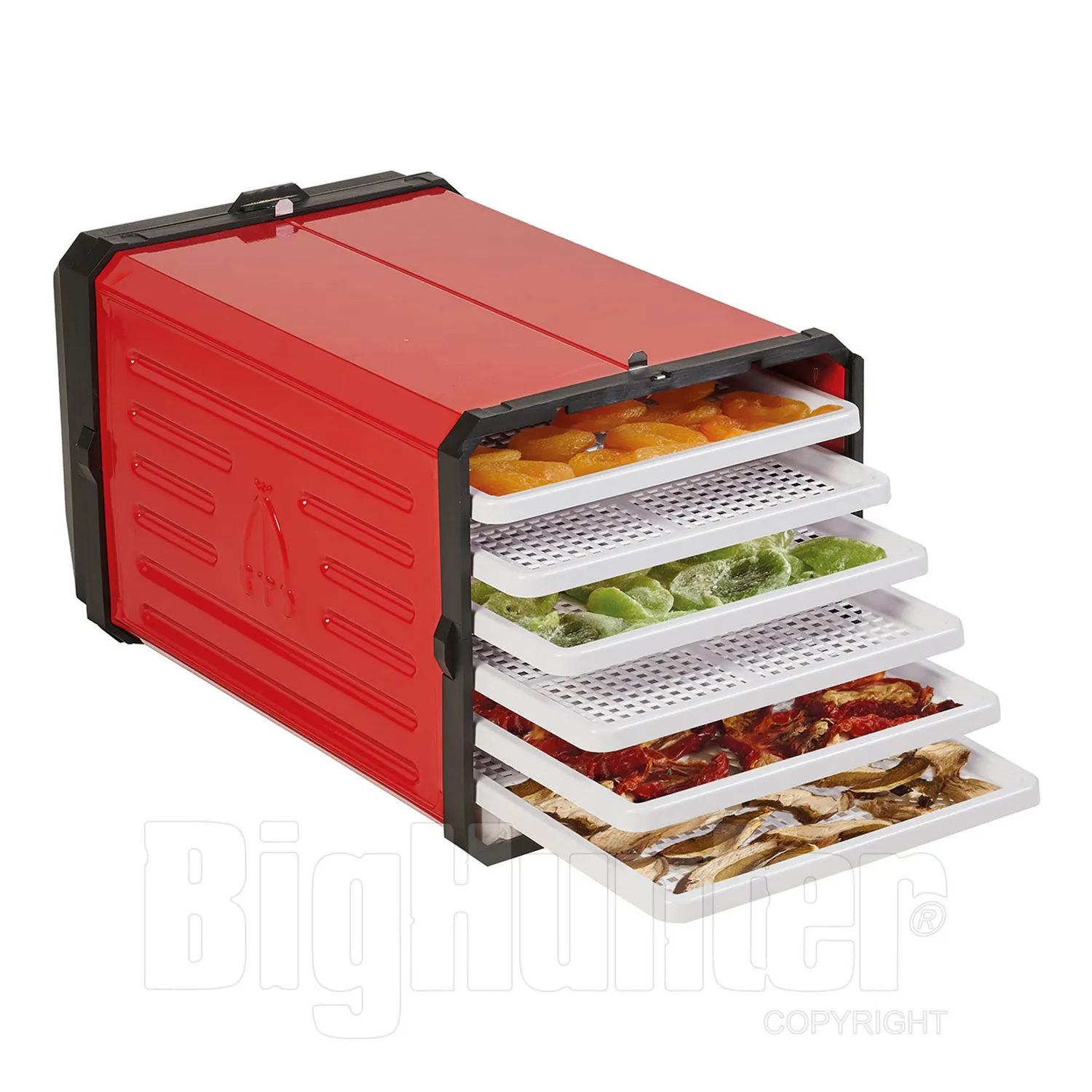Tre Spade Atacama Pro essiccatore alimentare 500W 6 vassoi
