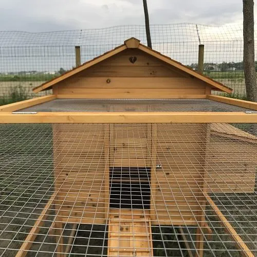 Il Verde Mondo Cocincina Plus pollaio legno 5-7 galline recinto