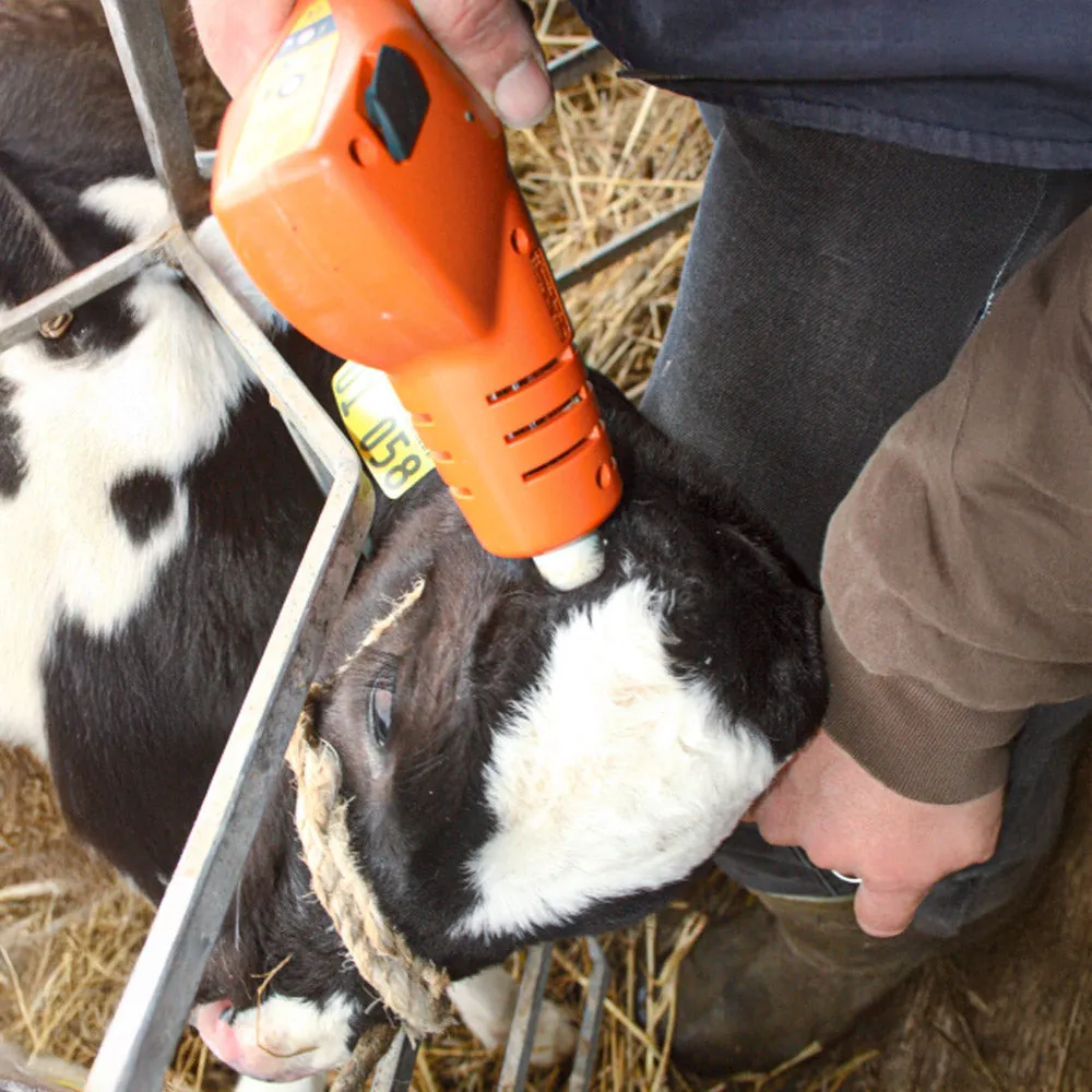 Decornatore vitelli Horn Up a batteria senza filo