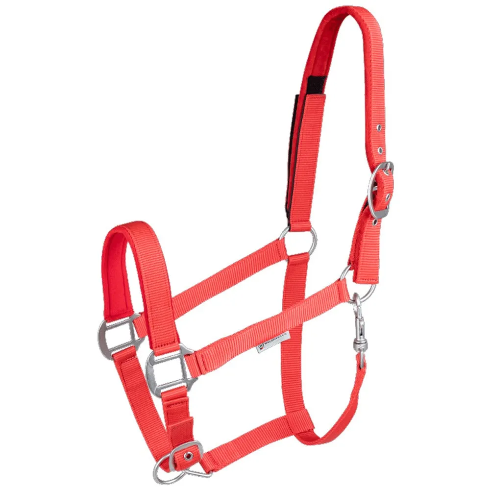 Beikircher Grünland Clever Open cavezza cavallo sicurezza nera Cob