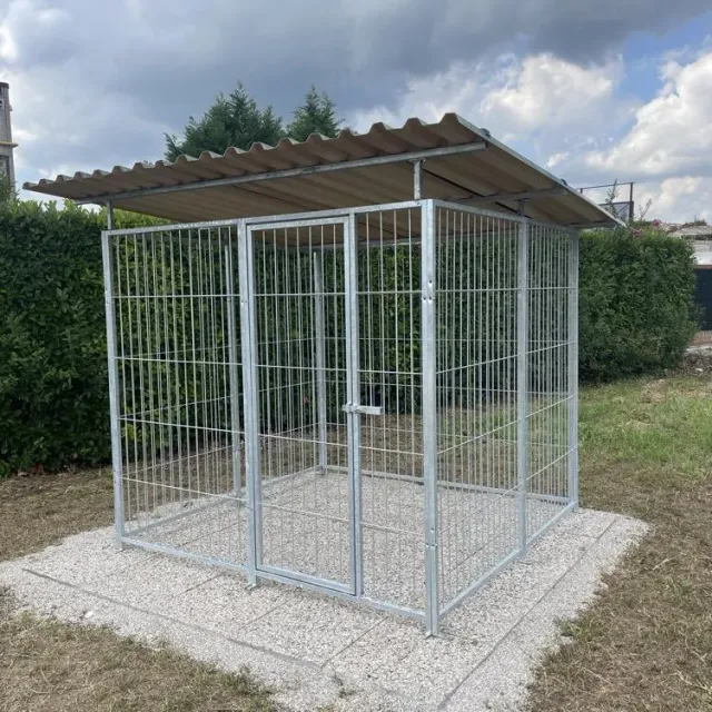 Il Verde Mondo Collie box cani zincato con tetto 205x200
