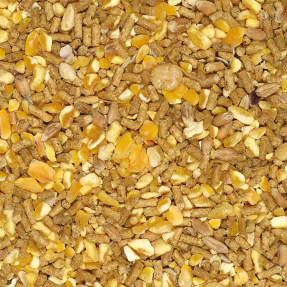 Beikircher Coccodoro Mangime Galline Ovaiole 12,5 kg Senza OGM