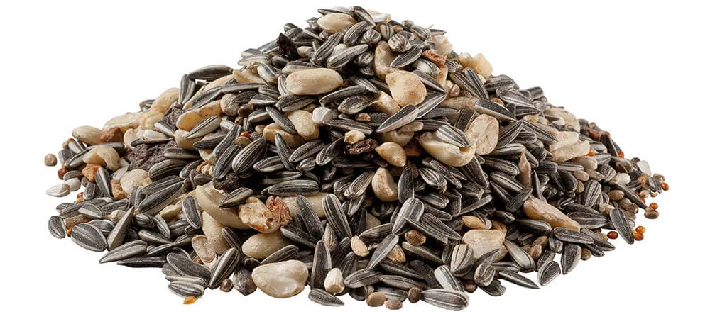 Panto Premium mangime uccelli selvatici 1,7 kg sfuso