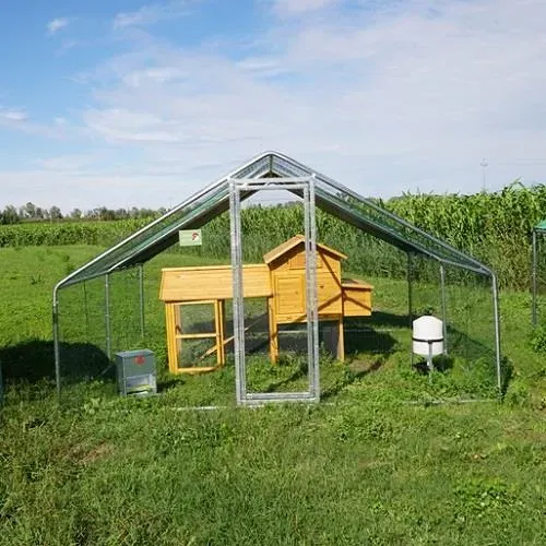 Il Verde Mondo Padovana Kit Pollaio 2x4 m Recinto e Accessori