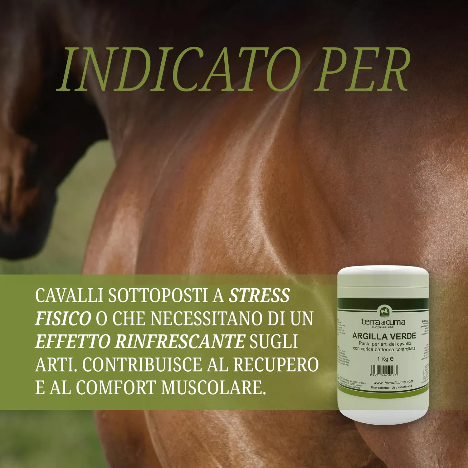 Terra di Cuma Argilla Verde Cavalli 1 Kg Rinfrescante