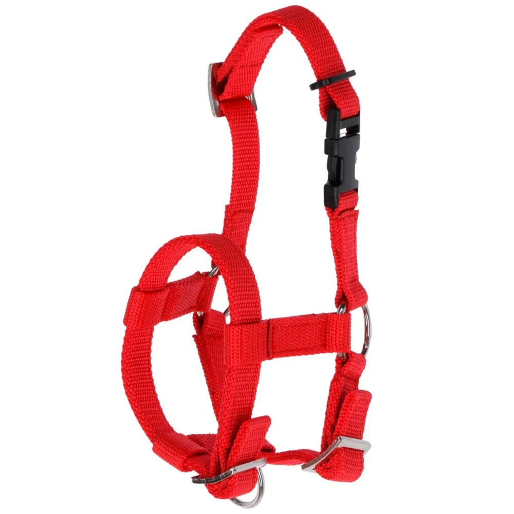 Cavezza Alpaca Pecore Regolabile Blu Morbida Conduzione