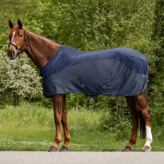 Beikircher Grünland Comfort coperta antimosche cavallo 145cm rete