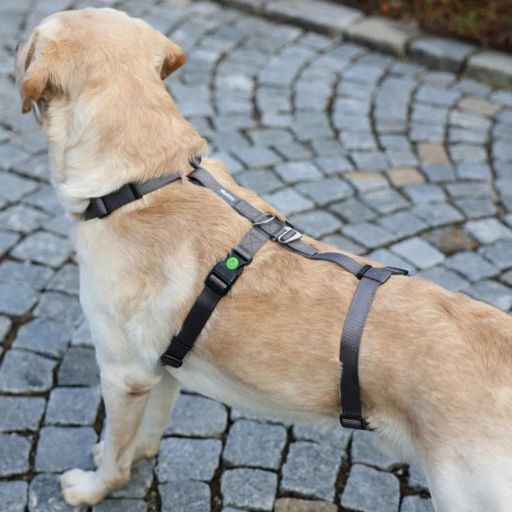 Beikircher Miami pettorina antipanico grigia 38-52 cm