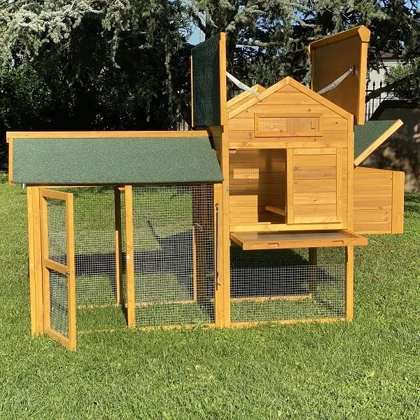 Il Verde Mondo Padovana XL Pollaio Legno 4-6 Galline Bitumato