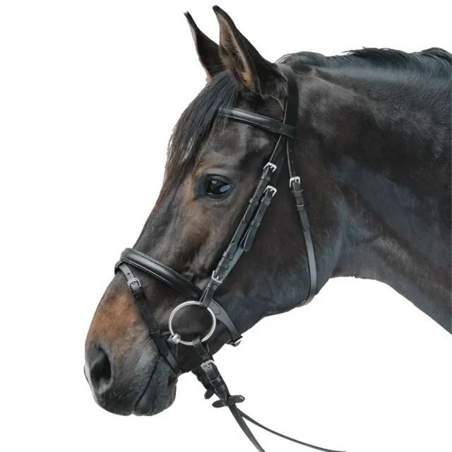 Beikircher Grünland STAR briglia cuoio cavallo testiera dritta