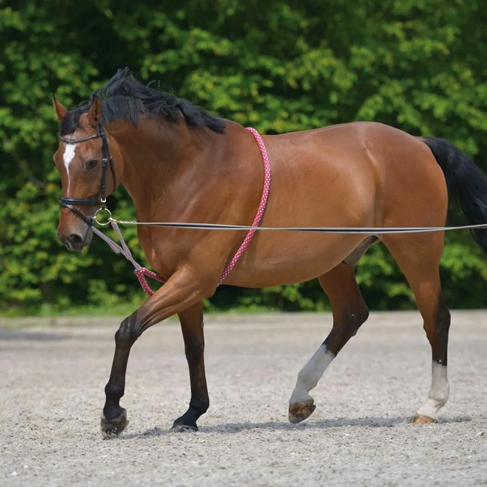 Beikircher Grünland Aiuto per Longia Cavallo Nero Cob