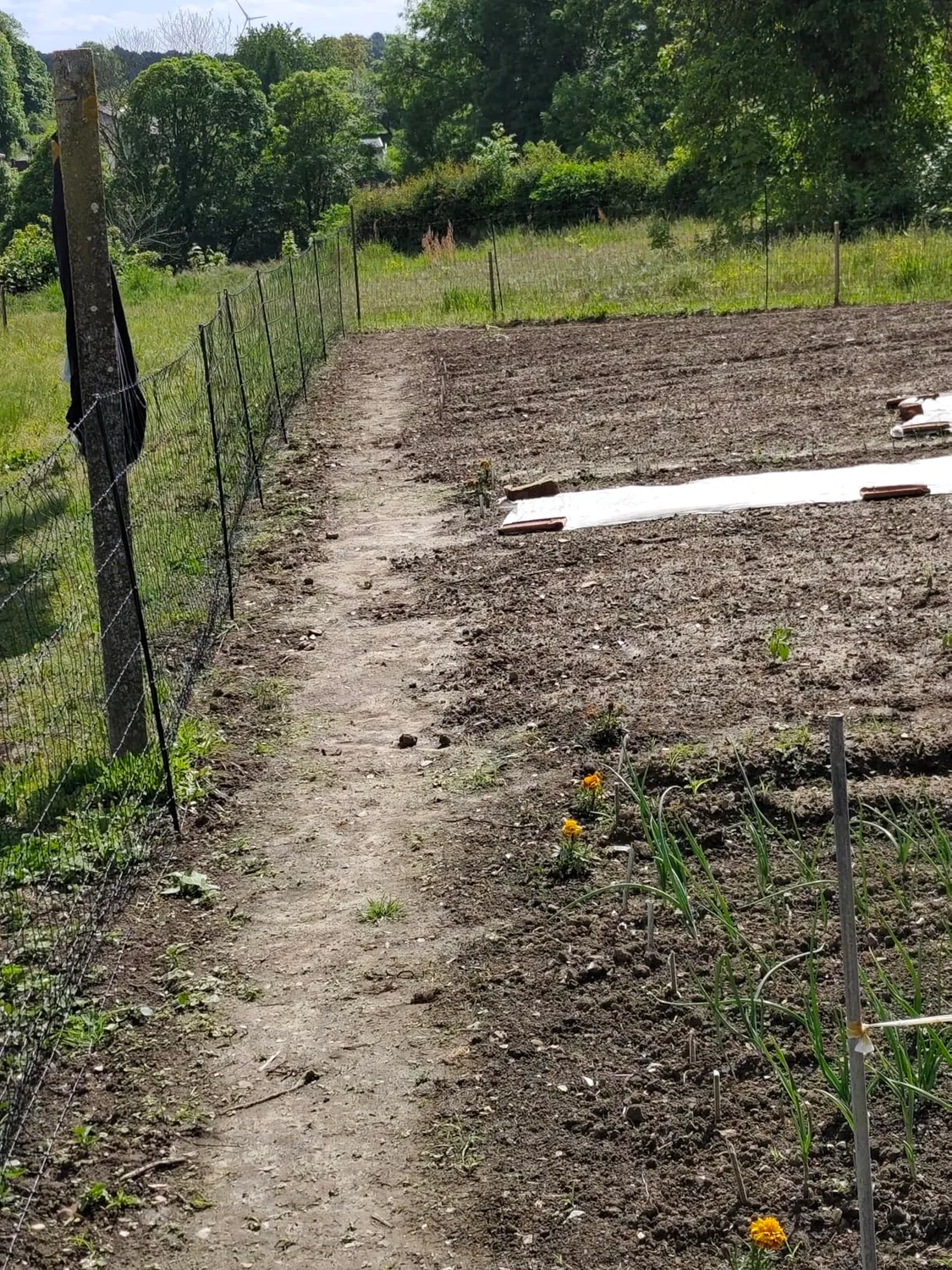 VOSS.farming Classic rete pollame 50 m 112 cm verde 16 pali