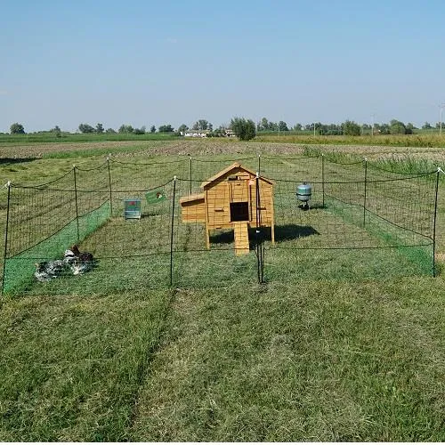 Il Verde Mondo Cocincina Rialzato kit pollaio 2-10 galline