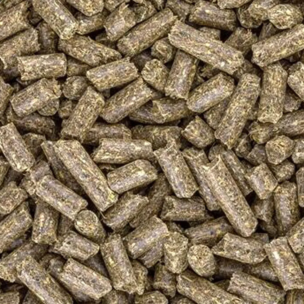 Beikircher Grünland Gastro+ Pellet Cavalli 20 kg Stomaco
