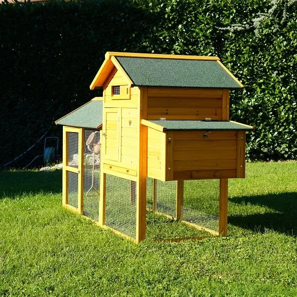 Il Verde Mondo Padovana XL Pollaio Legno 4-6 Galline Bitumato