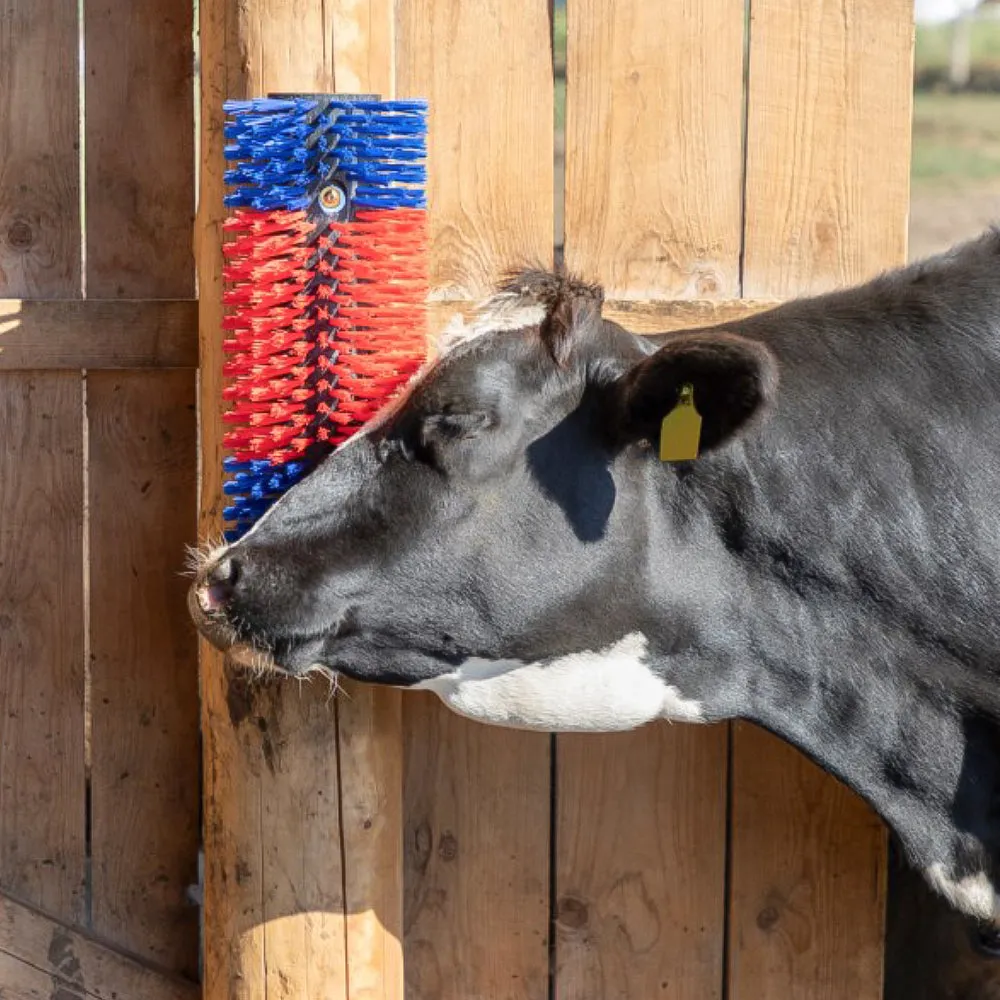 Beikircher Grünland Multiuso Spazzola Bovini Cavalli 50 cm Setole Dure