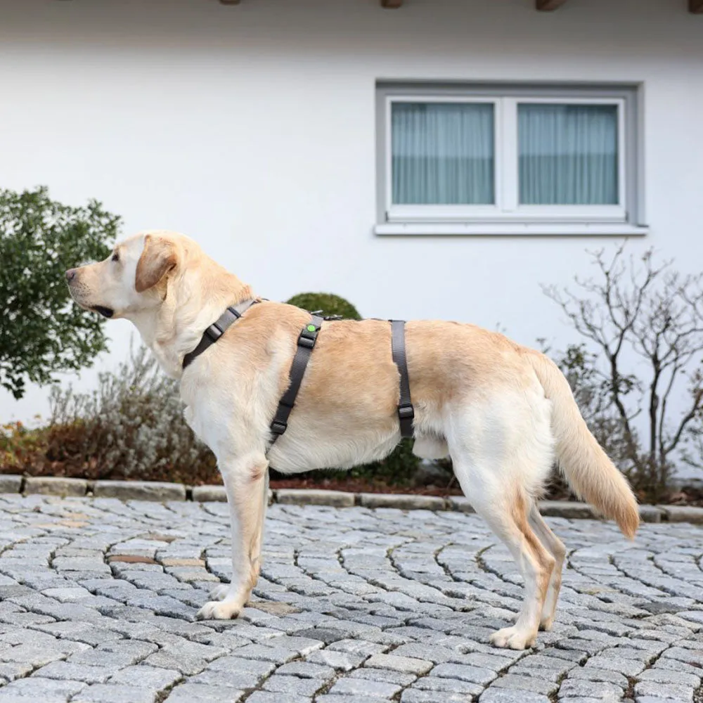 Beikircher Miami pettorina antipanico grigia 38-52 cm