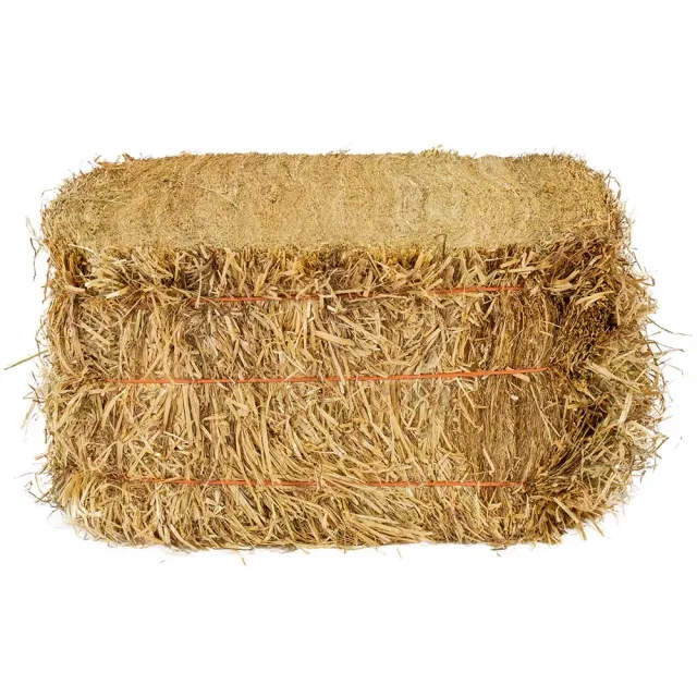 Lettiera paglia tritata cavalli antipolvere assorbente