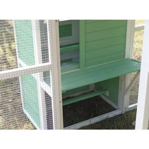 Il Verde Mondo Livorno XXXL pollaio legno recinto uova