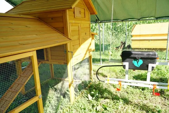 Il Verde Mondo Padovana Plus Kit Pollaio Telo 2x4 m con Abbeveratoio