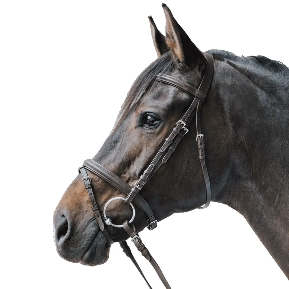 Beikircher Grünland STAR briglia cuoio cavallo testiera dritta