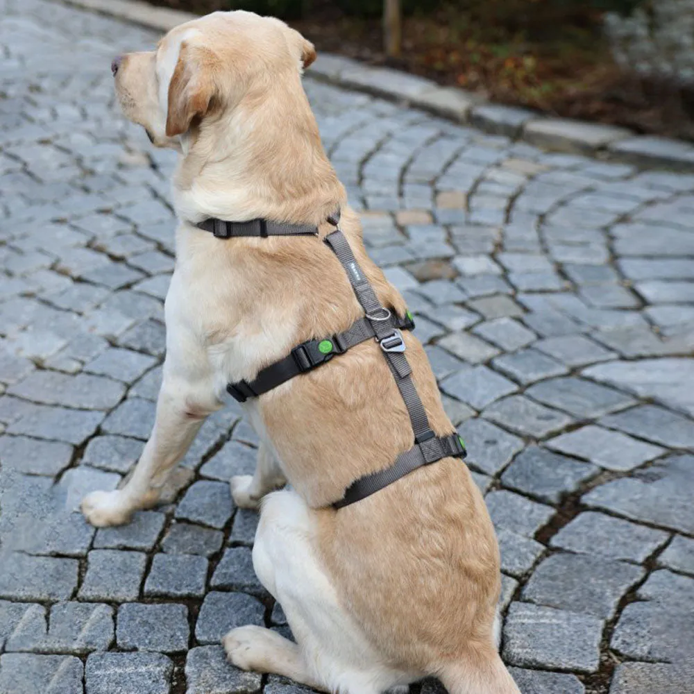 Beikircher Miami pettorina antipanico grigia 38-52 cm