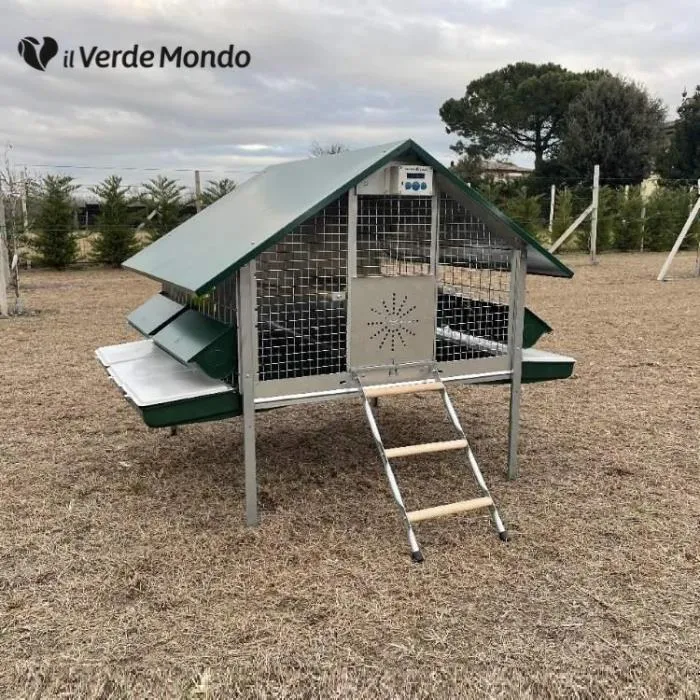 Il Verde Mondo Araucana pollaio ferro anti predatore
