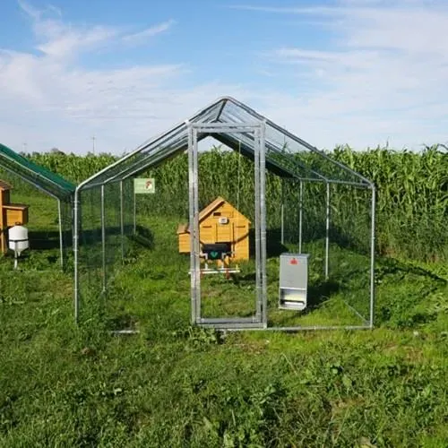 Il Verde Mondo Cocincina Plus kit pollaio 2x3 15 galline