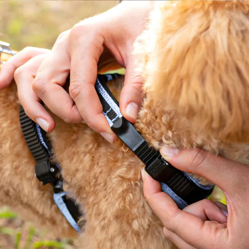Ferplast Ergocomfort P Pettorina Cane Ergonomica Microregolazione