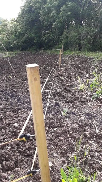 VOSS.farming nastro recinto elettrico 250 m 10 mm arancione