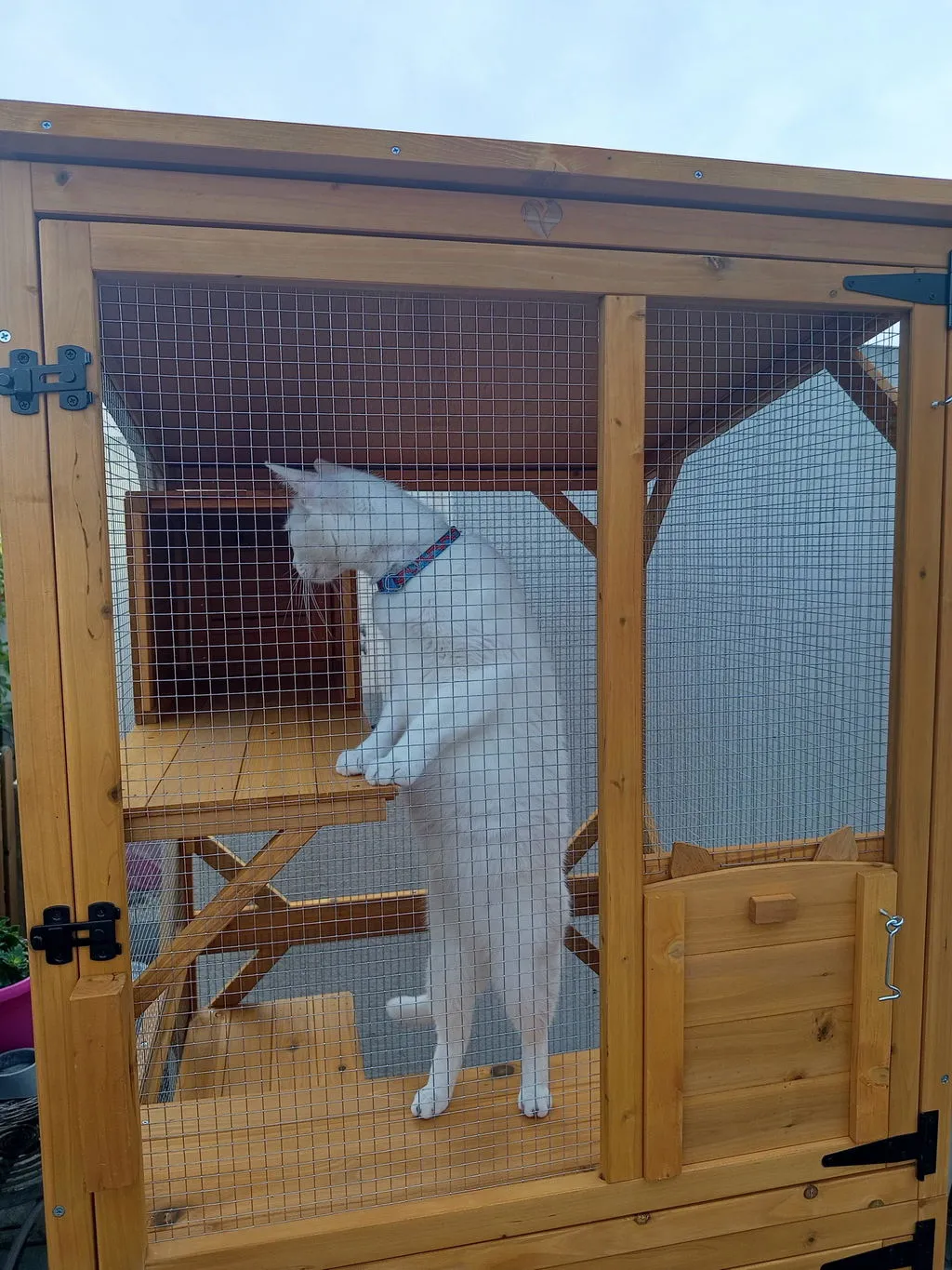 Il Verde Mondo Minou cuccia gatti esterno 80x86x180