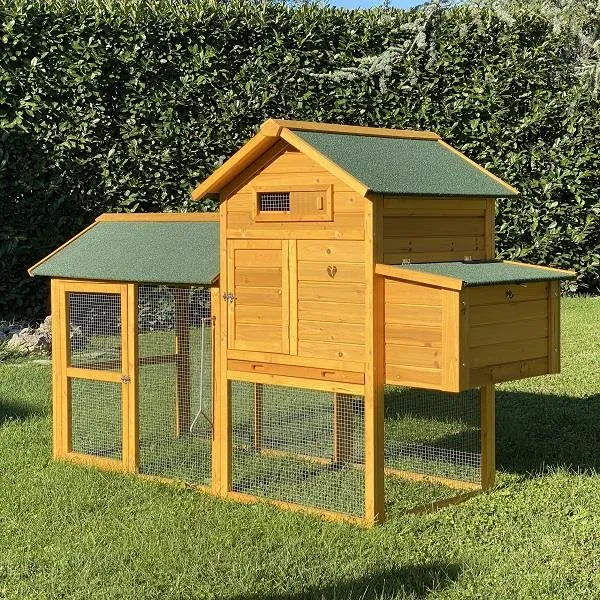 Il Verde Mondo Padovana XL Pollaio Legno 4-6 Galline Bitumato