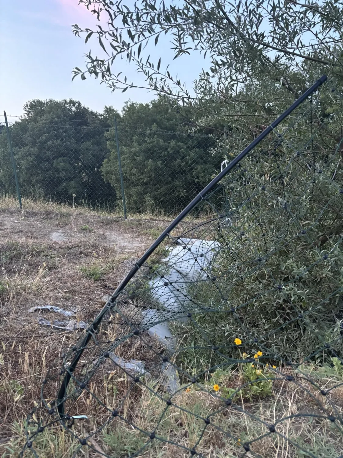 VOSS.farming Classic rete pollame 50 m 112 cm verde 16 pali