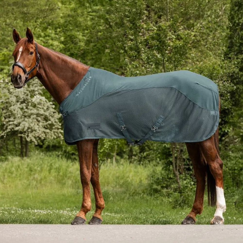 Beikircher Grünland Comfort coperta antimosche cavallo 145cm rete