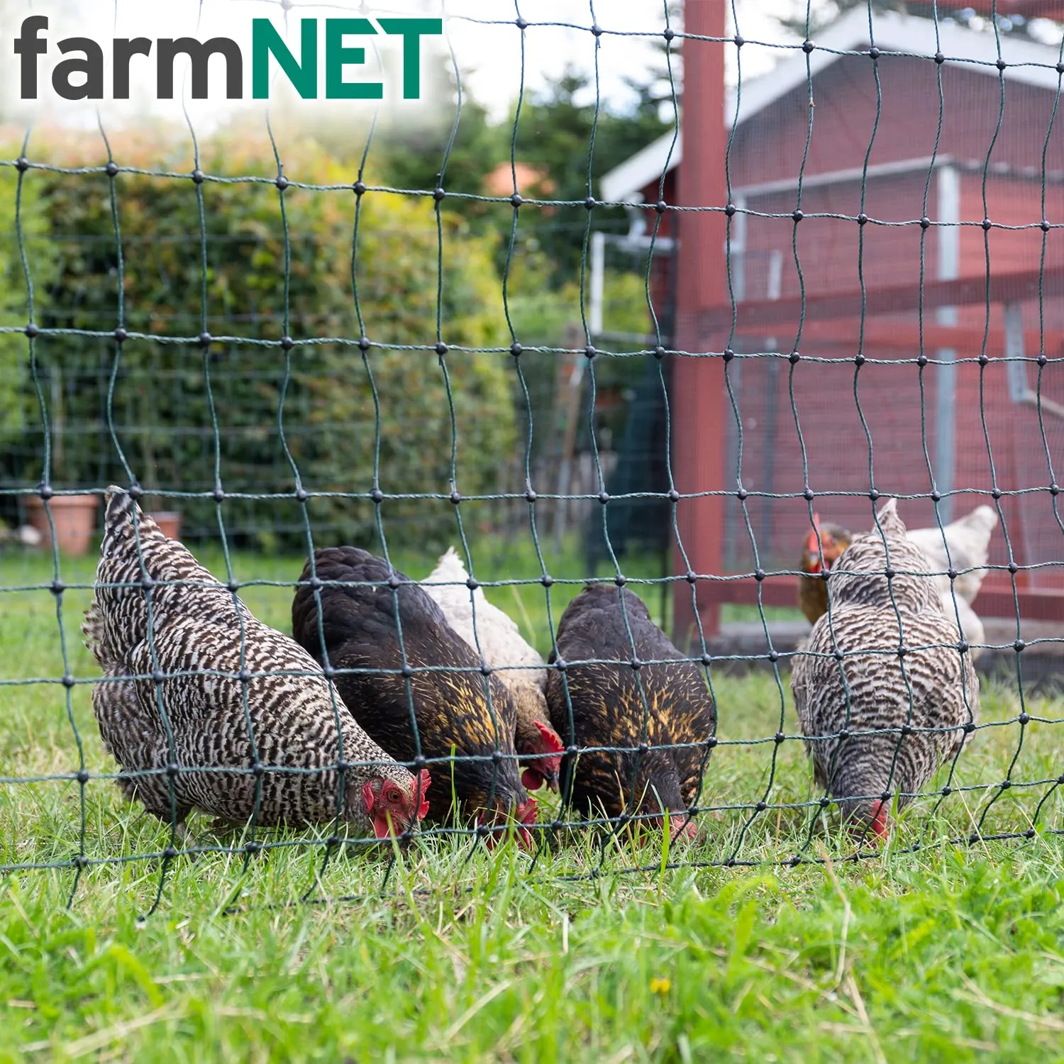 VOSS.farming farmNET rete polli 50m 112cm non elettrificabile