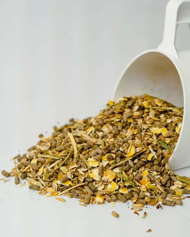 Siglhorse Lebens-Freude muesli cavalli con lievito e lino
