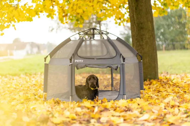 Il Verde Mondo Box Small box cani pieghevole antracite
