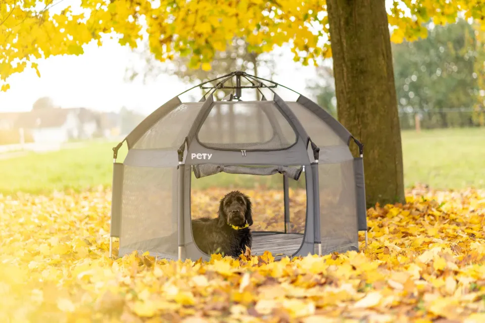 Il Verde Mondo Box Small box cani pieghevole antracite