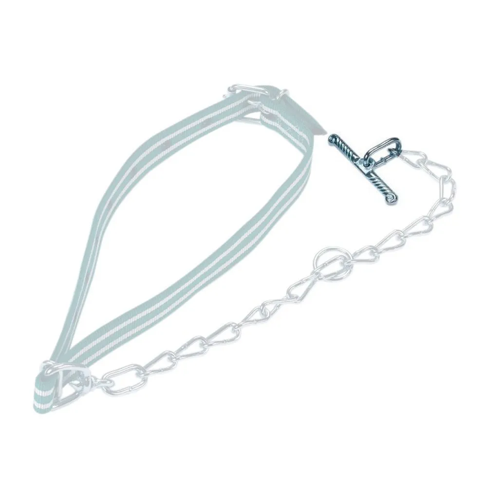 Toggle ovale metallo bovini manze 6 mm