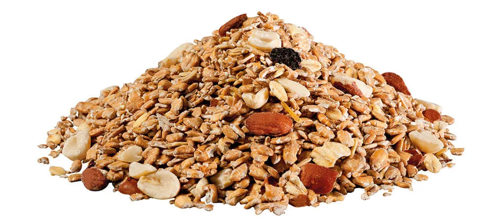 Beikircher Grünland Panto mangime uccelli selvatici 1kg energetico