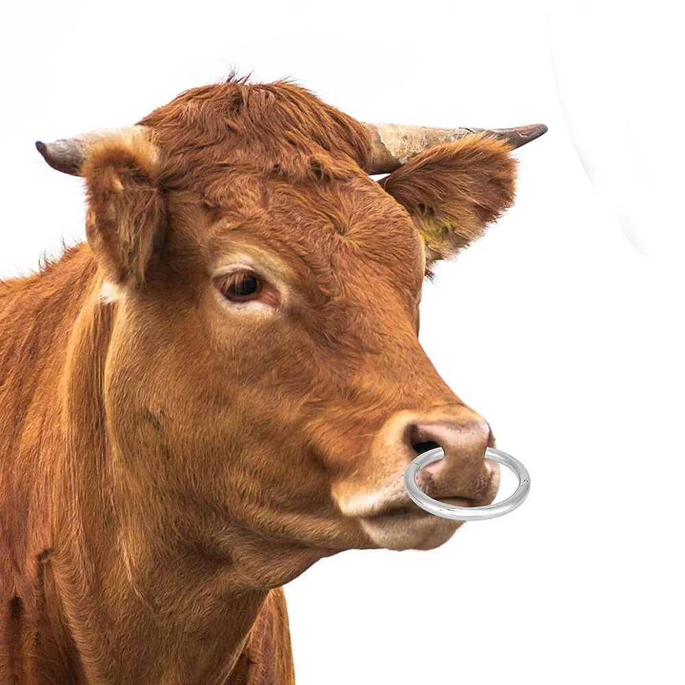 Beikircher Grünland Anello Nasale Toro Acciaio con Vite