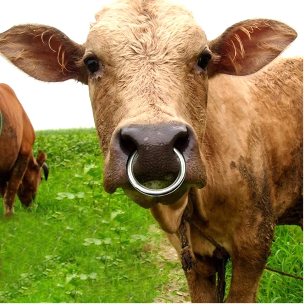 Beikircher Grünland Anello Nasale Toro Acciaio con Vite