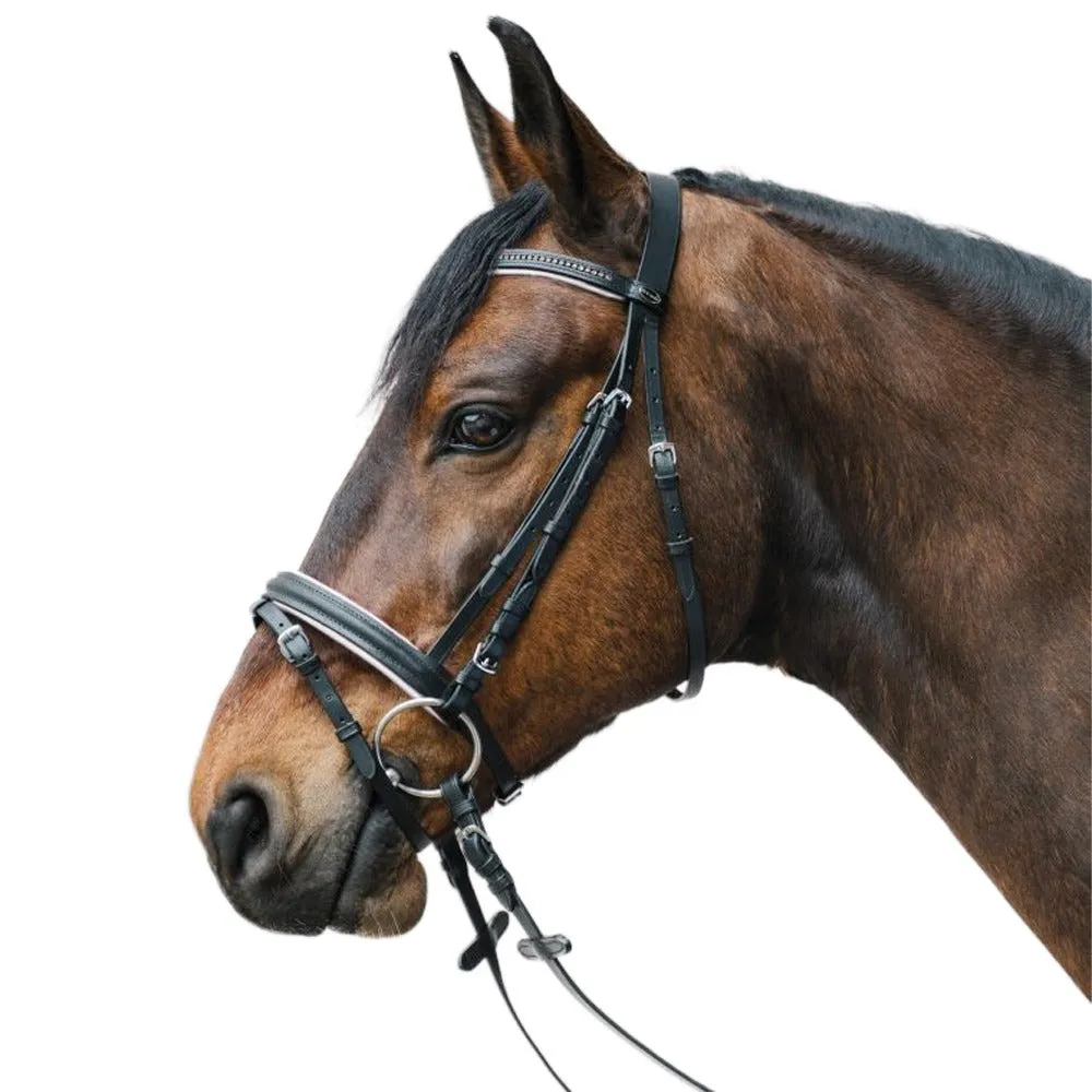 Star Diamond briglia cavallo strass marrone