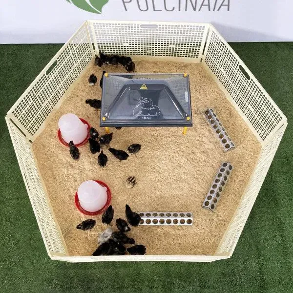 Il Verde Mondo Pulcinaia Svezzamento 50 Pulcini Kit