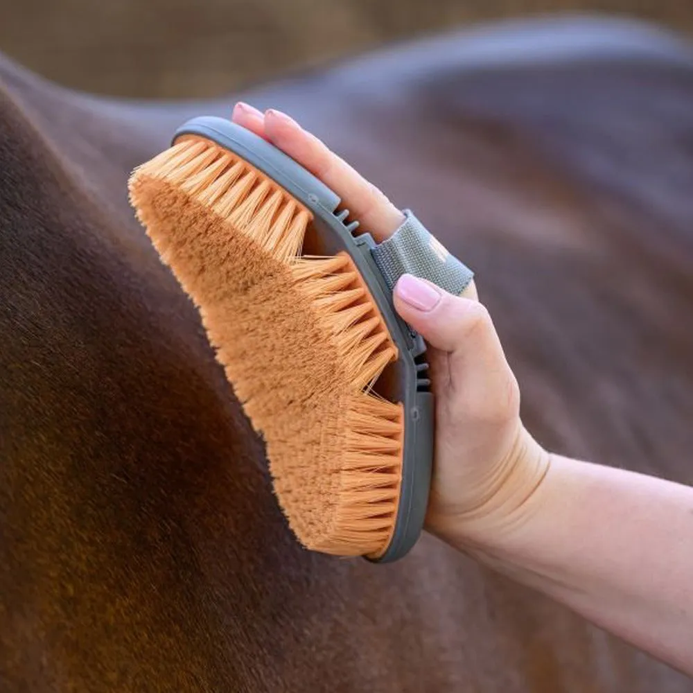 Beikircher Grünland Flex Dandy Brush spazzola pesca/grigio setole morbide