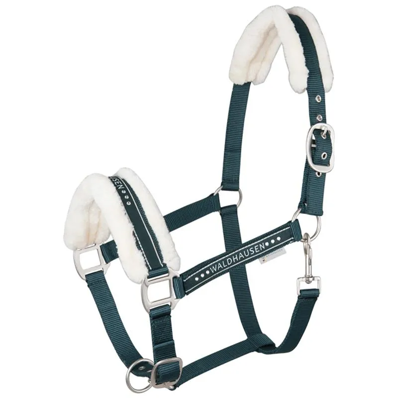 Beikircher Grünland Elegant capezza cavallo glitter imbottita