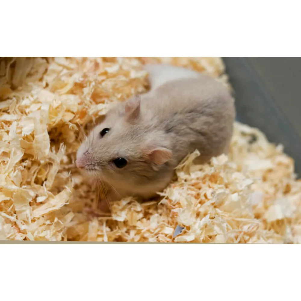 Chipsi Lettiera Piccoli Animali 3,2 kg Naturale Assorbente
