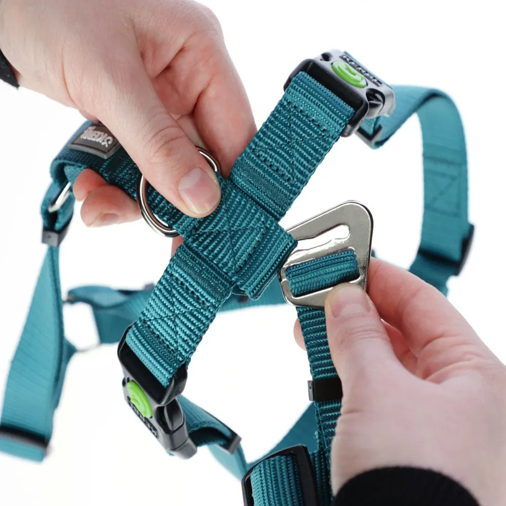 Beikircher Miami pettorina antipanico grigia 38-52 cm