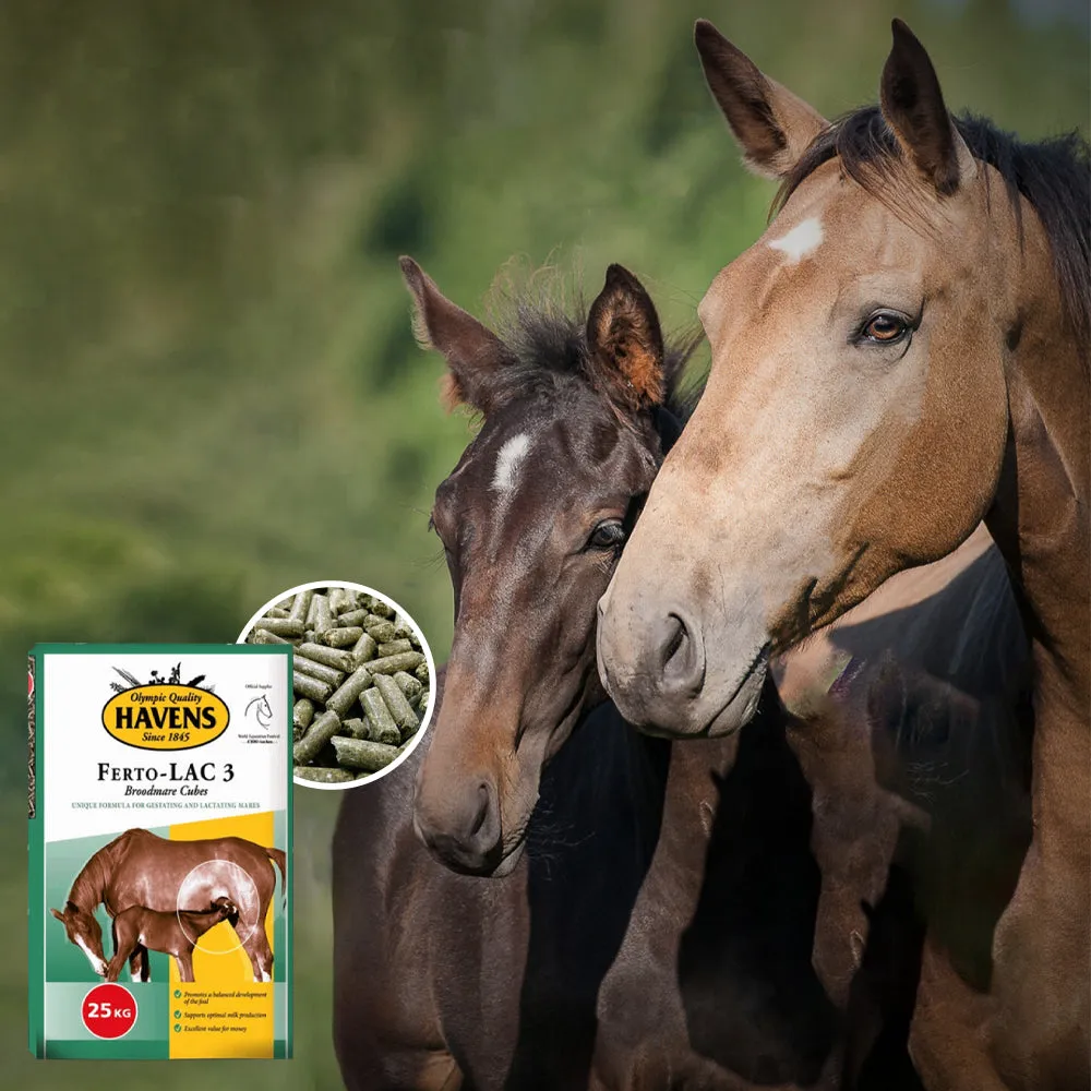 Havens Ferto-LAC 3 mangime fattrici 25 kg gravidanza